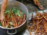 How ayahuasca is made