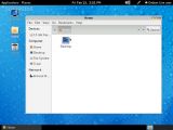 Rebellin Synergy 2.5 GNOME's file manager