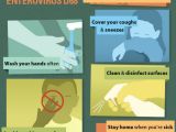 Infographic details how to keep safe from respiratory virus EV-D68
