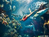 Rihanna swims with real sharks for Harper's Bazaar