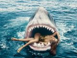 This shark in Harper's Bazaar was obviously Photoshopped in