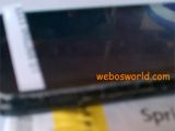 Windows Phone device from LG spotted
