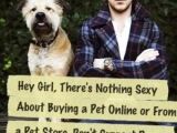 Hey Girl Ryan Gosling says adopt, don’t buy