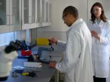 Corning scientists testing in the lab