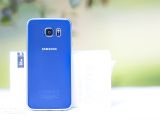 Samsung Galaxy S6 (back panel)