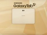 Samsung Galaxy Tab S2, back view