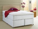 Bedbugs usually populate mattresses
