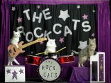 Cats will soon start bands and go on tours