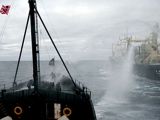 A Japanese whaling ship fires its water cannons at the Steve irwin