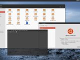 Ubuntu 14.04 LTS version