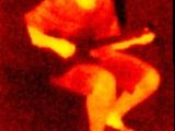 Seek Thermal heat image of a person
