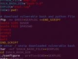Exploit code for shell