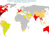 Global distribution map of CryptoWall infections in August