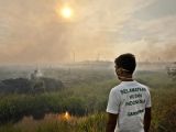Greenpeace activist watches the fire destroy forests in Indonesia's Riau Province