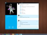 Skype for Windows 8 conversation window