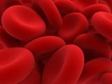 Once inside the body, the parasite absorbs hemoglobin