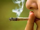 The idea is that smokers have lower levels of inflammation on their body