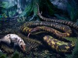 Artist's rendering of an ancestral snake