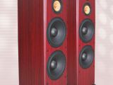 150W of pure sound from these towering beauties