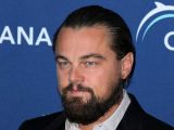 Sony boss Amy Pascal said Leonardo DiCaprio's decision to drop out of "Jobs" was "despicable, horrible behavior"