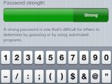 Providing a New Password