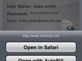 Password auto fill for websites in web browser