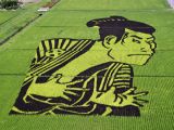 Rice crops are made to form the image of an evil-looking man