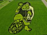 Some of the images formed by rice crops are rather amusing