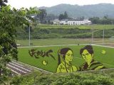 Female characters are also depicted by these innovative rice crops