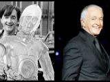 Anthony Daniels voices C-3PO