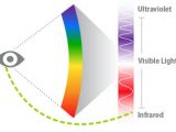 Infrared light usually falls outside the visible spectrum