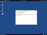 Tails 1.3 RC1's terminal window