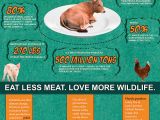 Infographic details how the meat industry affects the natural world
