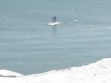 Photo shows the teens floating on Lake Michigan