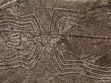 Nobody is supposed to approach the Nazca lines on foot