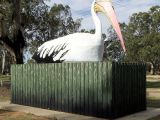 The Big Pelican