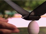 Bionic Bird sitting on its charging egg