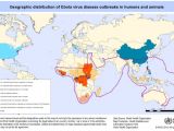Image shows the geographic distribution of Ebola outbreaks documented thus far