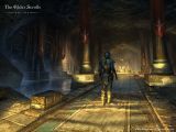 The Elder Scrolls Online: Tamriel Unlimited screenshot