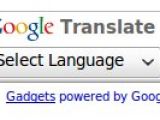 The new logo in the Google Translate widget