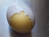 Golden Goosed egg