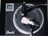 Grendel Sound's Dead Room: record your guitar in same room with your sleeping granny.