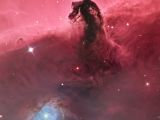 The Horsehead nebula sits 1,200 light-years away from Earth