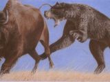 Arctodus attacking a bison