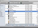 The Psychotic qtz file that you can find in the Developer folder on your Mac.