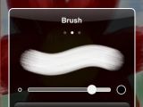 A screenshot of the Brushes user interface on an iPhone