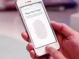 Apple's Touch ID scanner