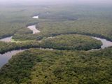 Meander of the Congo in Salonga National Park