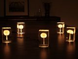 OLED Tampopo Dandelion Lamp