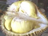 Open durian
